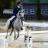 CTDA Schooling Show